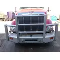 PETERBILT 579 BUMPER BRUSH GUARD thumbnail 1