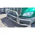 PETERBILT 579 BUMPER BRUSH GUARD thumbnail 2