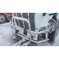 PETERBILT 579 BUMPER BRUSH GUARD thumbnail 1