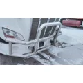 PETERBILT 579 BUMPER BRUSH GUARD thumbnail 2