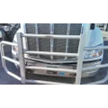 PETERBILT 579 BUMPER BRUSH GUARD thumbnail 1