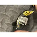 PETERBILT 579 Body Wiring Harness thumbnail 4