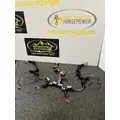 PETERBILT 579 Body Wiring Harness thumbnail 1