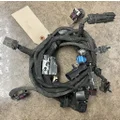 PETERBILT 579 Body Wiring Harness thumbnail 1