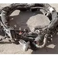 PETERBILT 579 Body Wiring Harness thumbnail 4