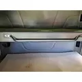 PETERBILT 579 CAB HANDLE thumbnail 1