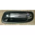 PETERBILT 579 Door Handle thumbnail 1