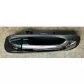 PETERBILT 579 Door Handle thumbnail 2