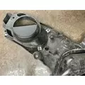 PETERBILT 579 Door Handle thumbnail 4