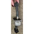 PETERBILT 579 Door Handle thumbnail 2