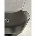 PETERBILT 579 Door Panel (Trim) thumbnail 4