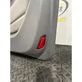 PETERBILT 579 Door Panel (Trim) thumbnail 10