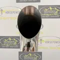 PETERBILT 579 Exhaust Assembly thumbnail 8