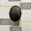 PETERBILT 579 Exhaust Assembly thumbnail 8