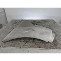 PETERBILT 579 FENDER EXTENSION thumbnail 1