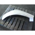 PETERBILT 579 FENDER EXTENSION thumbnail 5