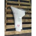 PETERBILT 579 FENDER EXTENSION thumbnail 3