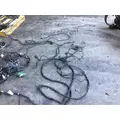 PETERBILT 579 FRAME RAIL WIRING HARNESS thumbnail 2