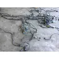 PETERBILT 579 FRAME RAIL WIRING HARNESS thumbnail 3