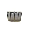 PETERBILT 579 Grille thumbnail 2