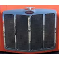 PETERBILT 579 Grille thumbnail 2