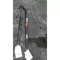 PETERBILT 579 HOOD SHOCKSTRUT thumbnail 2