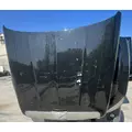 PETERBILT 579 Hood thumbnail 7