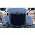 PETERBILT 579 Hood thumbnail 1