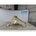 PETERBILT 579 RADIATOR OVERFLOW TANK thumbnail 1
