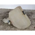 PETERBILT 579 WINDSHIELD WASHER RESERVOIR thumbnail 1