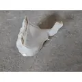 PETERBILT 579 WINDSHIELD WASHER RESERVOIR thumbnail 2
