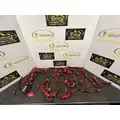 PETERBILT 579 Wiring Harness,Engine  thumbnail 2
