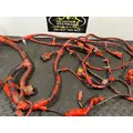 PETERBILT 579 Wiring Harness,Engine  thumbnail 6
