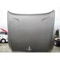 PETERBILT 587 2011-2025 HOOD thumbnail 6