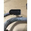 PETERBILT 587 450 Wiring & Harnesses thumbnail 4