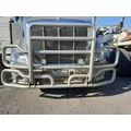 PETERBILT 587 BUMPER BRUSH GUARD thumbnail 2