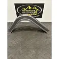 PETERBILT 587 Body Parts, Misc. thumbnail 3