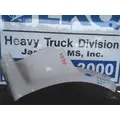 PETERBILT 587 CAB SKIRTSIDE FAIRING thumbnail 1