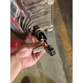 PETERBILT 587 Door Assembly, Front thumbnail 5
