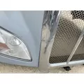 PETERBILT 587 Hood thumbnail 4