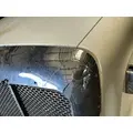 PETERBILT 587 Hood thumbnail 6
