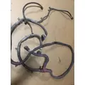 PETERBILT 587 WIRING HARNESS thumbnail 3
