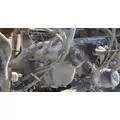PETERBILT LOW AIR LEAF Cutoff Tandem Axle thumbnail 9
