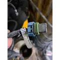 PETERBILT  Body Wiring Harness thumbnail 12