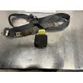 PETERBILT  Seat Belt thumbnail 2