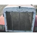 PETE 377 Hood thumbnail 4