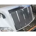 PETE 579 Hood thumbnail 2