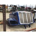 PETE 579 Hood thumbnail 2