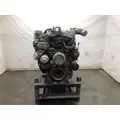 Paccar MX13 Engine Assembly thumbnail 6