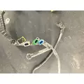 Paccar MX13 Engine Wiring Harness thumbnail 4